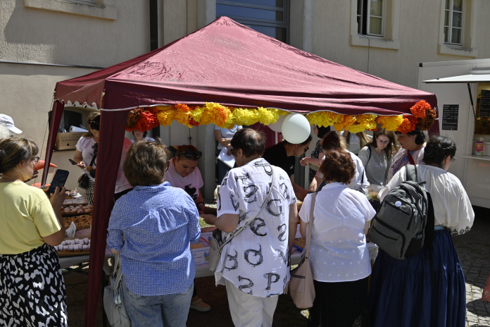 Galeriebild _DSC8735.png